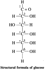 Maharashtra-Board-Class-12-Chemistry-Solutions-Chapter-14-Biomolecules-14