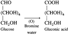 Maharashtra-Board-Class-12-Chemistry-Solutions-Chapter-14-Biomolecules-16