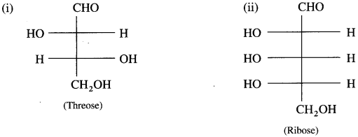 Maharashtra-Board-Class-12-Chemistry-Solutions-Chapter-14-Biomolecules-20
