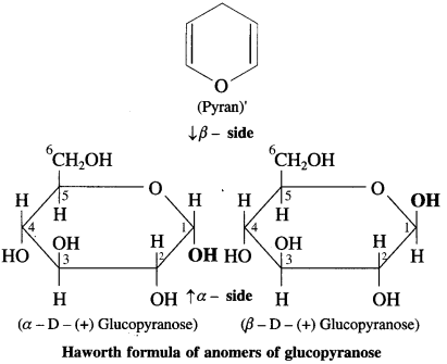 Maharashtra-Board-Class-12-Chemistry-Solutions-Chapter-14-Biomolecules-30