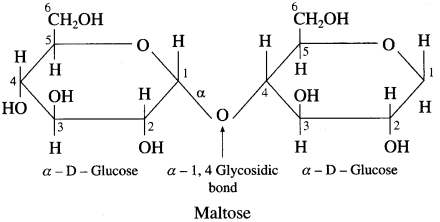Maharashtra-Board-Class-12-Chemistry-Solutions-Chapter-14-Biomolecules-38