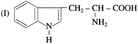 Maharashtra-Board-Class-12-Chemistry-Solutions-Chapter-14-Biomolecules-57