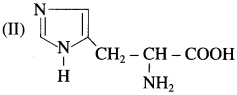 Maharashtra-Board-Class-12-Chemistry-Solutions-Chapter-14-Biomolecules-58