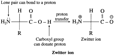 Maharashtra-Board-Class-12-Chemistry-Solutions-Chapter-14-Biomolecules-61