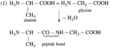 Maharashtra-Board-Class-12-Chemistry-Solutions-Chapter-14-Biomolecules-66