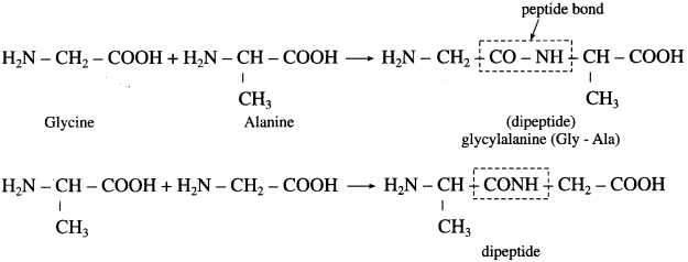 Maharashtra-Board-Class-12-Chemistry-Solutions-Chapter-14-Biomolecules-67