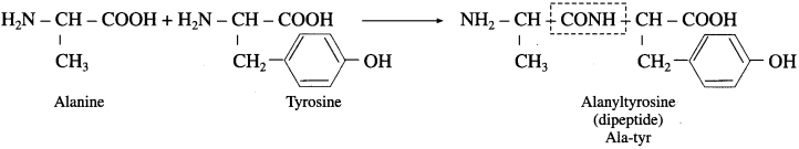 Maharashtra-Board-Class-12-Chemistry-Solutions-Chapter-14-Biomolecules-68