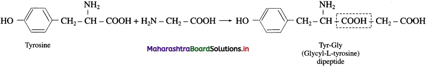 Maharashtra-Board-Class-12-Chemistry-Solutions-Chapter-14-Biomolecules-69