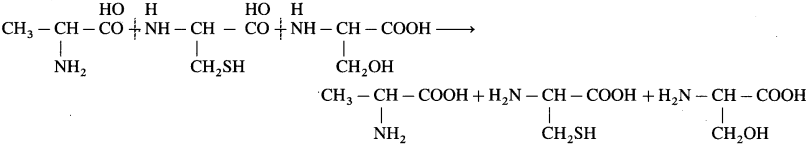 Maharashtra-Board-Class-12-Chemistry-Solutions-Chapter-14-Biomolecules-72