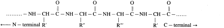 Maharashtra-Board-Class-12-Chemistry-Solutions-Chapter-14-Biomolecules-76