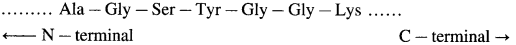 Maharashtra-Board-Class-12-Chemistry-Solutions-Chapter-14-Biomolecules-77