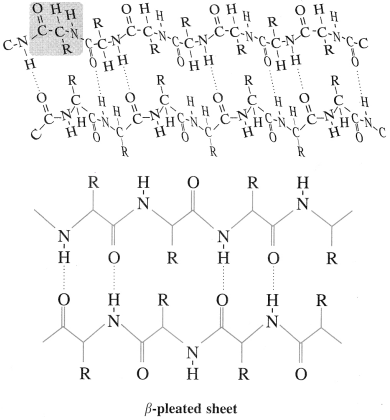 Maharashtra-Board-Class-12-Chemistry-Solutions-Chapter-14-Biomolecules-79