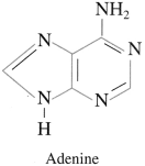 Maharashtra-Board-Class-12-Chemistry-Solutions-Chapter-14-Biomolecules-88