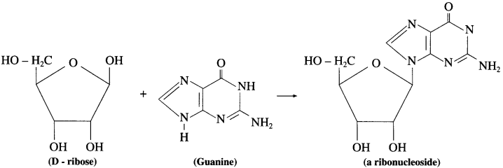 Maharashtra-Board-Class-12-Chemistry-Solutions-Chapter-14-Biomolecules-93