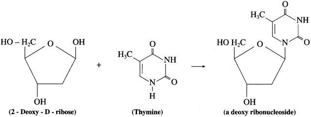 Maharashtra-Board-Class-12-Chemistry-Solutions-Chapter-14-Biomolecules-94