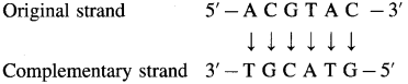 Maharashtra-Board-Class-12-Chemistry-Solutions-Chapter-14-Biomolecules-99