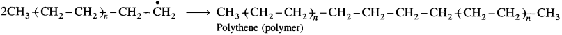 Maharashtra-Board-Class-12-Chemistry-Solutions-Chapter-15-Introduction-to-Polymer-Chemistry-18