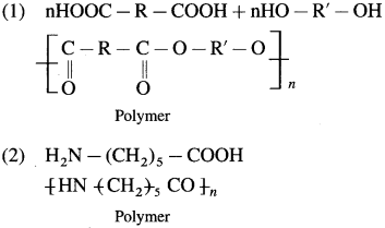 Maharashtra-Board-Class-12-Chemistry-Solutions-Chapter-15-Introduction-to-Polymer-Chemistry-32