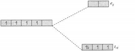 Maharashtra-Board-Class-12-Chemistry-Solutions-Chapter-9-Coordination-Compounds-62