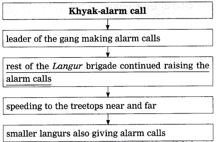 Maharashtra-Board-Class-12-English-Yuvakbharati-Solutions-Chapter-1.6-Into-the-Wild-8