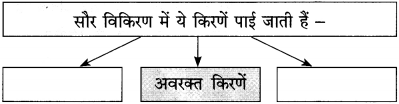 Maharashtra-Board-Class-12-Hindi-Yuvakbharati-Solutions-Chapter-10-ओजोन-विघटन-का-संकट-2