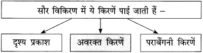 Maharashtra-Board-Class-12-Hindi-Yuvakbharati-Solutions-Chapter-10-ओजोन-विघटन-का-संकट-3