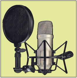 Maharashtra-Board-Class-12-Hindi-Yuvakbharati-Solutions-Chapter-16-मैं-उद्घोषक-3