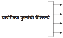 Maharashtra-Board-Class-12-Marathi-Yuvakbharati-Solutions-Chapter-8-रेशीमबंध-2