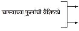 Maharashtra-Board-Class-12-Marathi-Yuvakbharati-Solutions-Chapter-8-रेशीमबंध-3