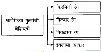 Maharashtra-Board-Class-12-Marathi-Yuvakbharati-Solutions-Chapter-8-रेशीमबंध-6
