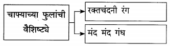 Maharashtra-Board-Class-12-Marathi-Yuvakbharati-Solutions-Chapter-8-रेशीमबंध-7