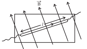 Maharashtra-Board-Class-12-Physics-Solutions-Chapter-10-Magnetic-Fields-due-to-Electric-Current-4