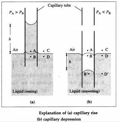 Maharashtra-Board-Class-12-Physics-Solutions-Chapter-2-Mechanical-Properties-of-Fluids-26