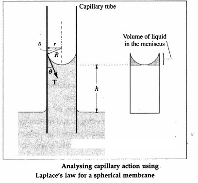 Maharashtra-Board-Class-12-Physics-Solutions-Chapter-2-Mechanical-Properties-of-Fluids-29
