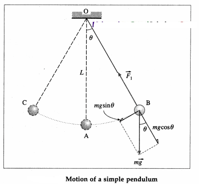 Maharashtra-Board-Class-12-Physics-Solutions-Chapter-5-Oscillations-20