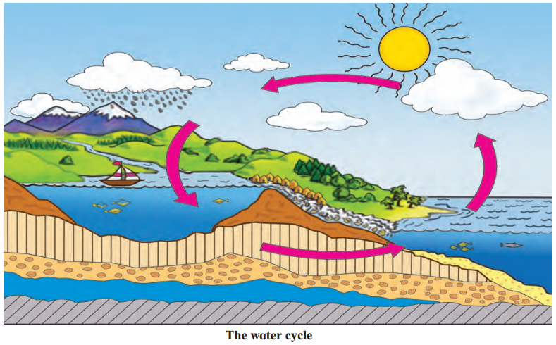 Maharashtra-Board-Class-5-EVS-Solutions-Part-1-Chapter-3-The-Earth-and-its-Living-World-1