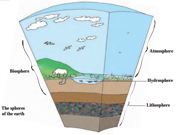 Maharashtra-Board-Class-5-EVS-Solutions-Part-1-Chapter-3-The-Earth-and-its-Living-World-3