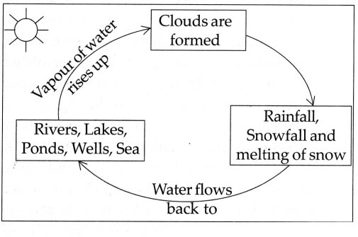 Maharashtra-Board-Class-5-EVS-Solutions-Part-1-Chapter-4-Environmental-Balance-6