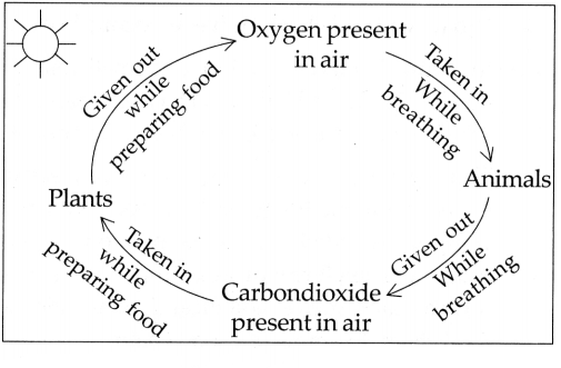 Maharashtra-Board-Class-5-EVS-Solutions-Part-1-Chapter-4-Environmental-Balance-7