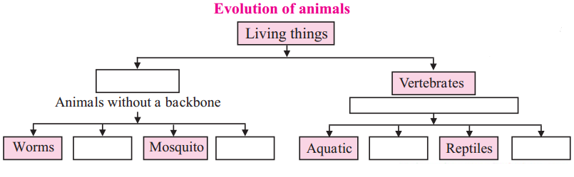 Maharashtra-Board-Class-5-EVS-Solutions-Part-2-Chapter-4-Evolution-1