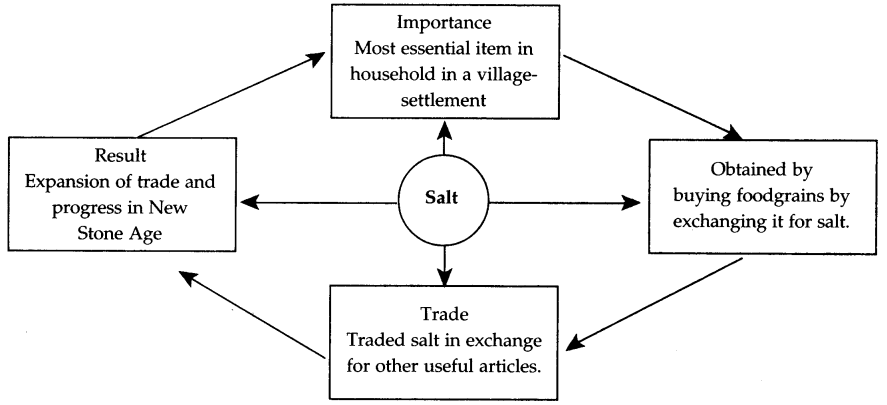 Maharashtra-Board-Class-5-EVS-Solutions-Part-2-Chapter-8-Beginning-of-Settled-Life-2