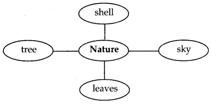 Maharashtra-Board-Class-5-English-Solutions-Chapter-1-What-a-Bird-Thought-1