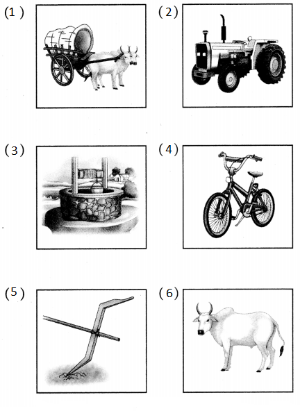 Maharashtra-Board-Class-5-Hindi-Solutions-Chapter-1-गाँव-और-शहर-1