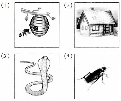 Maharashtra-Board-Class-5-Hindi-Solutions-Chapter-13-पहचान-हमारी-भाग-२-3