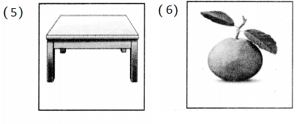 Maharashtra-Board-Class-5-Hindi-Solutions-Chapter-13-पहचान-हमारी-भाग-२-4