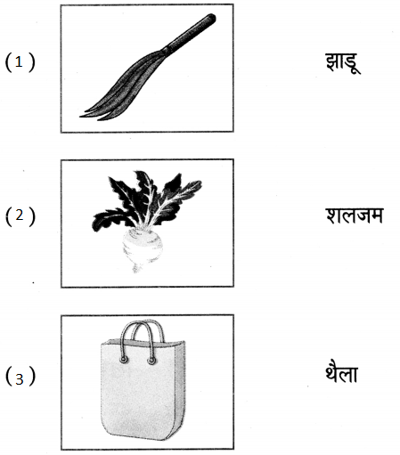 Maharashtra-Board-Class-5-Hindi-Solutions-पुनरावर्तन-२-2
