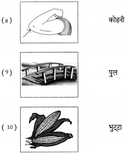 Maharashtra-Board-Class-5-Hindi-Solutions-पुनरावर्तन-२-5