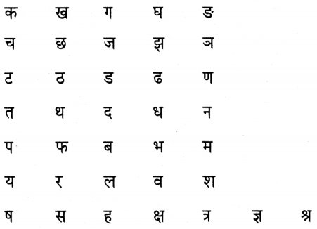 Maharashtra-Board-Class-5-Hindi-Solutions-स्वयं-सध्ययन-3
