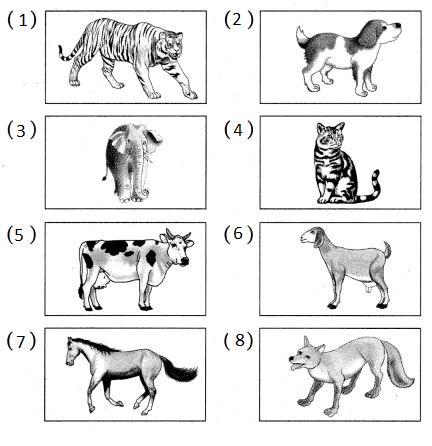 Maharashtra-Board-Class-5-Marathi-Solutions-Chapter-9-सिंह-आणि-बेडूक-1