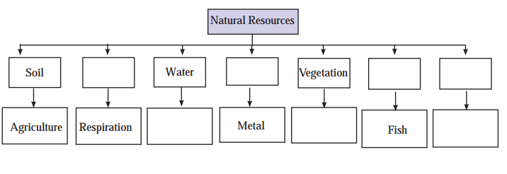 Maharashtra-Board-Class-6-Geography-Solutions-Chapter-8-Natural-Resources-1
